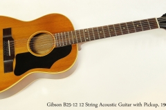 Gibson B25 12 12 String Guitar with Pickup 1965 www.12fret