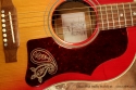 Gibson Brad Paisley Model J-45 pickguard