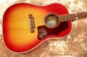 Gibson Brad Paisley Model J-45 top