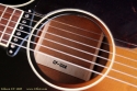 gibson-cf100e-ss-stamp-1