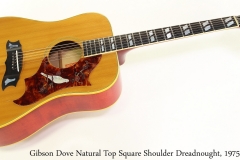 Gibson Dove Natural Top Square Shoulder Dreadnought, 1975 Full Front View