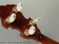 Gibson Earl Scruggs Special Banjo, 1996 Head Rear
