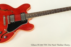 Gibson ES-335 TDC Dot Neck Thinline Cherry, 1961  Full Front VIew