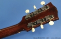 gibson-es125tdc-1967-cons-head-rear-1