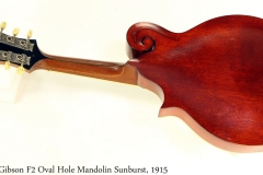 Gibson F2 Oval Hole Mandolin Sunburst, 1915 Full Rear View