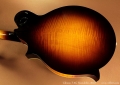 gibson-f5g-2012-back-1