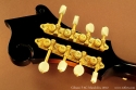 gibson-f5g-2012-head-rear-1