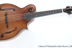 Gibson F9 Mandolin Satin Brown, 2007 Full Front View