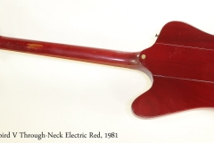 Gibson Firebird V Through-Neck Electric Red, 1981   Full Rear View