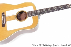 Gibson FJN Folksinger Jumbo Natural, 1964 Full Front View