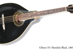 Gibson H1 Mandola Black, 1907 Full Front View