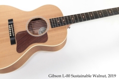 Gibson L-00 Sustainable Walnut, 2019 Full Front View