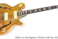 Gibson Les Paul Signature Thinline Gold Top, 1973 Full Front View