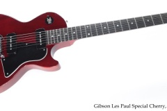 Gibson Les Paul Special Cherry, 2010 Full Front View