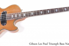 Gibson Les Paul Triumph Bass Natural, 1973 Full Front View