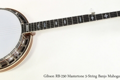 Gibson RB-250 Mastertone 5-String Banjo Mahogany, 1998  Full Front View