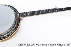 Gibson RB-250 Mastertone Banjo Natural, 1977 Full Front View
