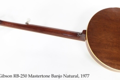 Gibson RB-250 Mastertone Banjo Natural, 1977 Full Rear View