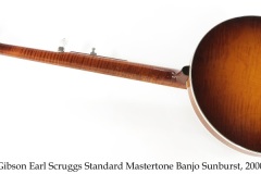 Gibson Earl Scruggs Standard Mastertone Banjo Sunburst, 2000 Full Rear View