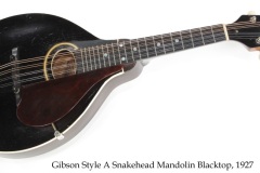 Gibson Style A Snakehead Mandolin Blacktop, 1927 Full Front View
