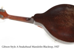 Gibson Style A Snakehead Mandolin Blacktop, 1927 Full Rear View