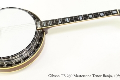 Gibson TB250 Mastertone Tenor Banjo, 1969 Full Front View