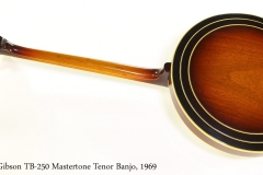 Gibson TB250 Mastertone Tenor Banjo, 1969 Full Rear View