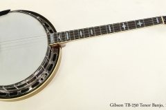 Gibson TB-250 Tenor Banjo, 1966  Full Front View