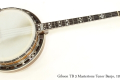 Gibson TB 3 Mastertone Tenor Banjo, 1926  Full Front View
