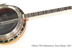 Gibson TB 3 Mastertone Tenor Banjo, 1927-28  Full Front View