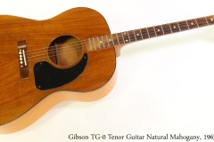 Gibson TG-0 Tenor Guitar Natural Mahogany, 1963 Full Front View