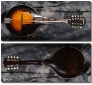 Gibson_A1-Mandolin_41-43(C)