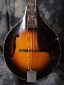 Gibson_A1-Mandolin_41-43(C)_Top