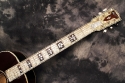 gibson_century_fingerboard_1