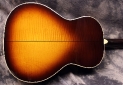 gibson_century_rear_2