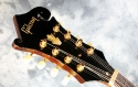 gibson_em200_head_front_1
