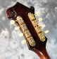 gibson_em200_head_rear_1