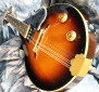 gibson_em200_tail_1
