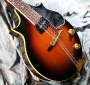 gibson_em200_top_detail_1