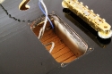 Gibson_es355_74_extras_bridge_pickup_cavity_1