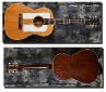 Gibson_F-25_1964