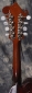 Gibson_F2-Mandolin_1929-(C)_Neck