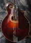 Gibson_F2-Mandolin_1929-(C)_Top