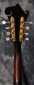 Gibson_F5_Mandolin_1951(C)_neck