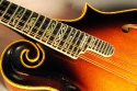 Gibson_F5_mandolin_74_cons_fingerboard_detail_1