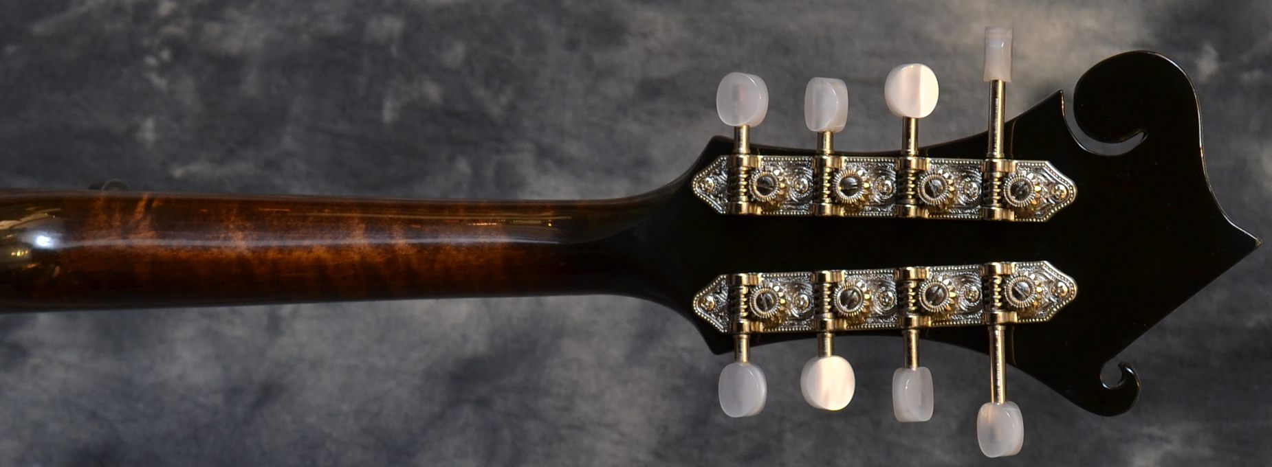 Gibson_F5G Mandolin(C)_neck