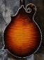 Gibson_Fern_F5L_Back