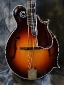 Gibson_Fern_F5L_Top