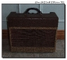 Gibson_GA-20_amp_1955