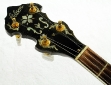 Gibson_granada_banjo_1991_cons_head_front_1